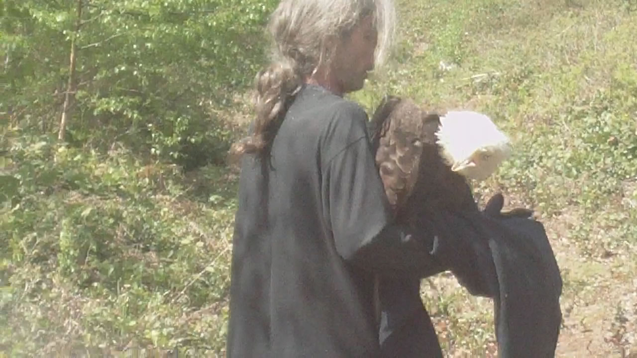metroman with wild bald eagle